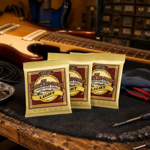 Ernie ball earthwood 2004 - ernie,